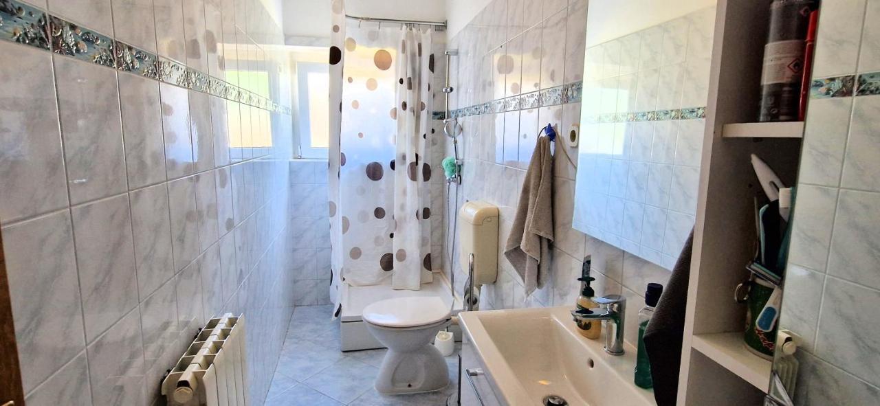 Apartments Pinezic Skrbčići エクステリア 写真